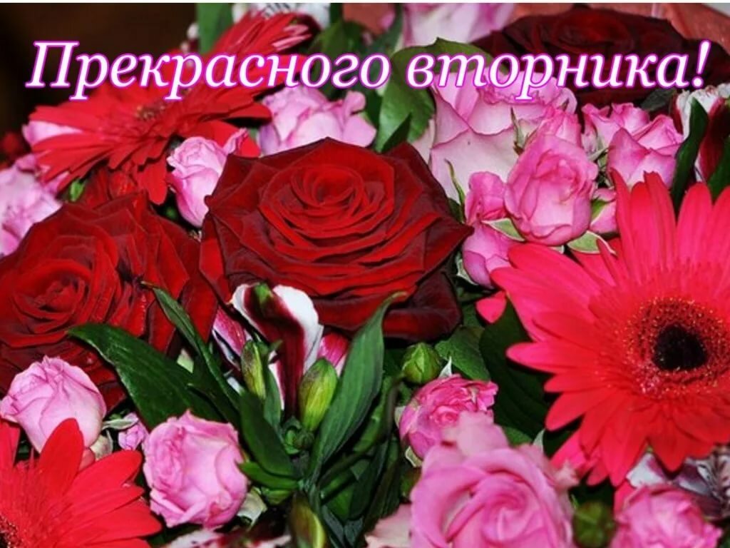 s1200.jpg